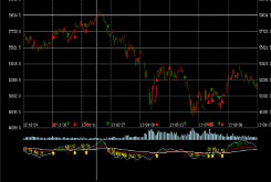 可編程模型策略指標，圖形展示，歷史數據測試，基金自動運行，強大的風險控制配置與實時監控管理，CTP、金仕達接口