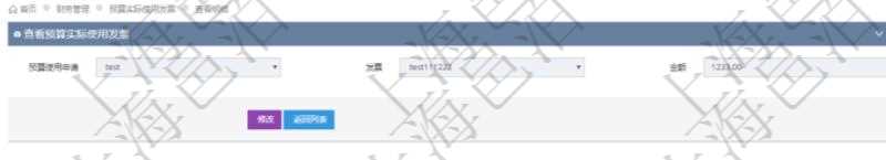 查詢項目管理軟件財務管理系統預算實際使用發票信息時返回：預算使用申請、發票信息及金額。
