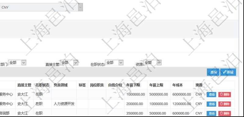 項目管理軟件人力資源管理系統可以通過團隊明細子頁面查詢得到該團隊的子團隊信息，比如：子團隊名稱、子團隊代碼、子團隊描述、財務人、登錄賬戶、組長、單位、部門、直接主管、在職狀態、負責領域、標簽、崗位職責、自我介紹、年薪下限、年薪上限、年成本等。